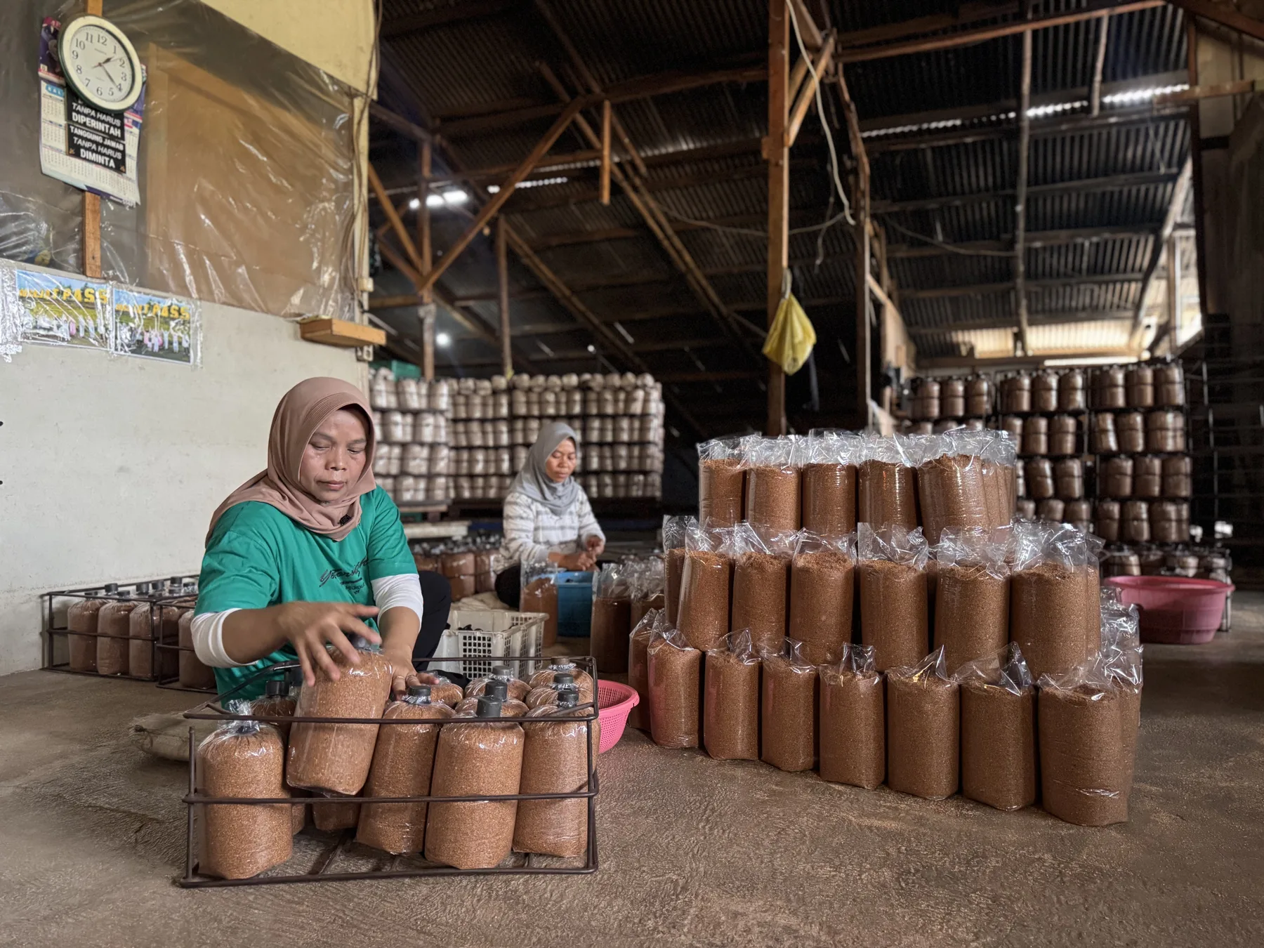 Aktivitas tim dalam proses produksi Rumah Jejamuran Lemberindo