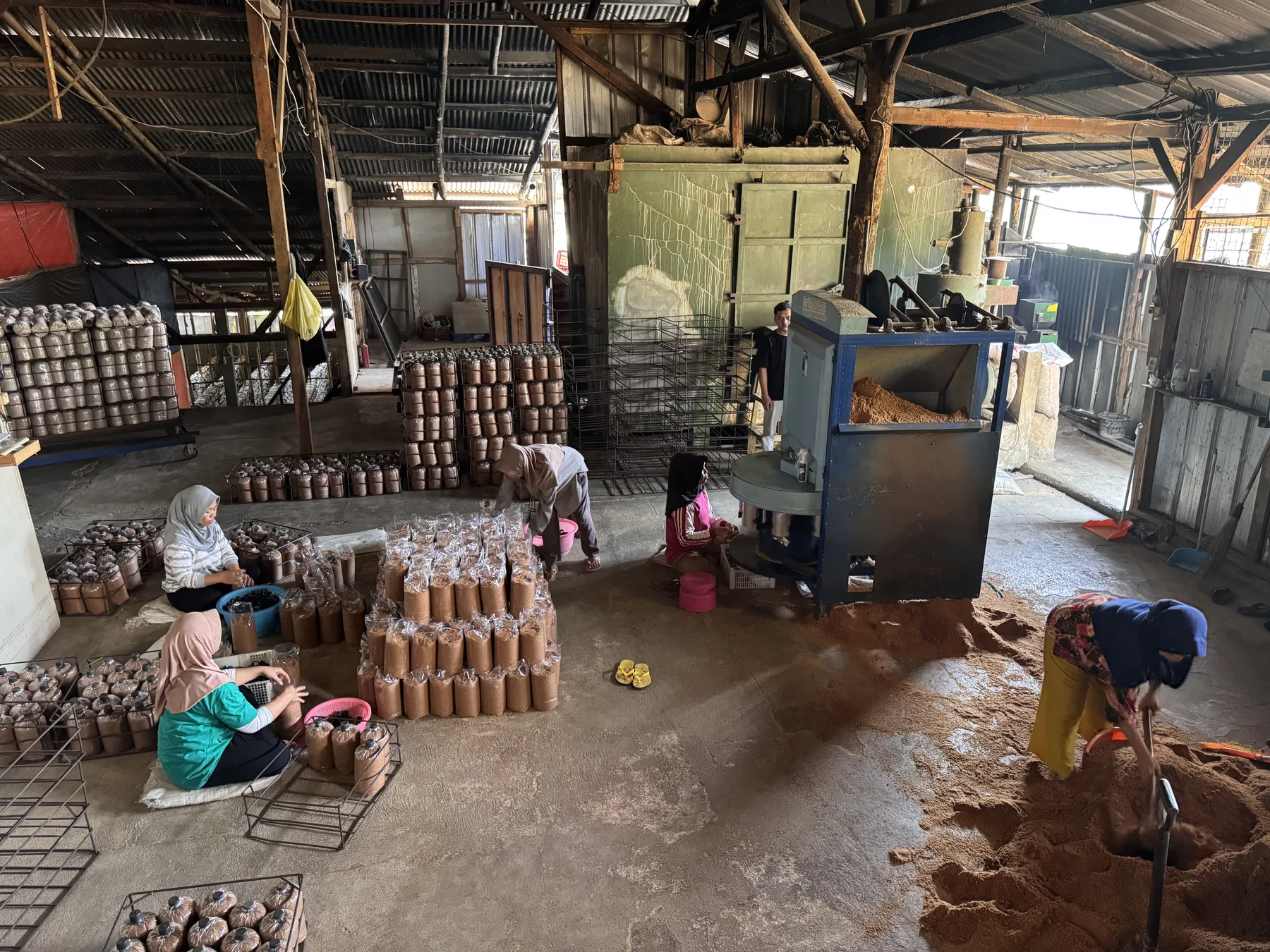 Baglog Jamur