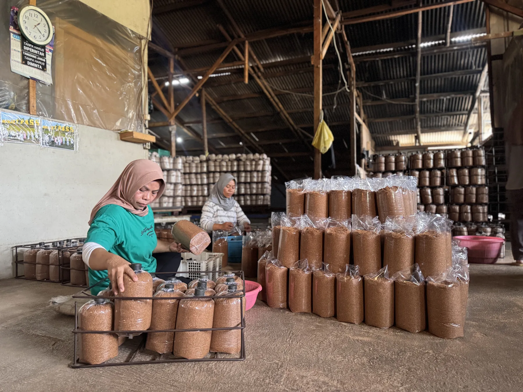 Dokumentasi aktivitas tim produksi baglog Lemberindo